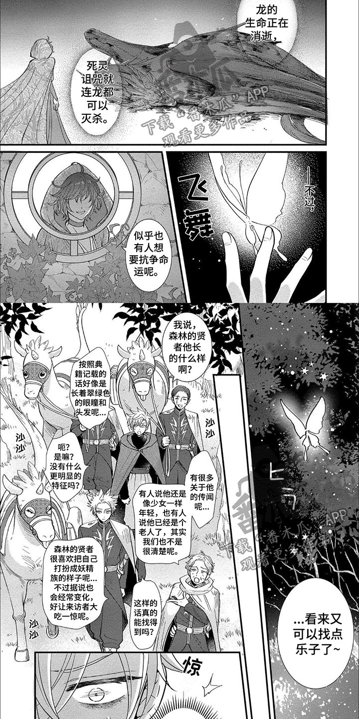第16章：森林贤者1
