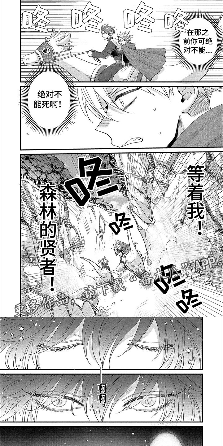 第16章：森林贤者0