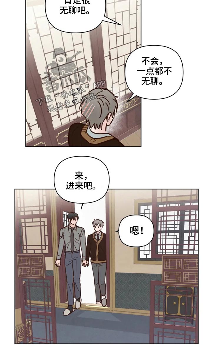 龟兔同笼练习漫画,第40章：问题4图