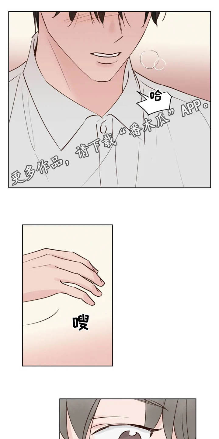 龟兔与不同动物赛跑漫画,第16章：表情1图