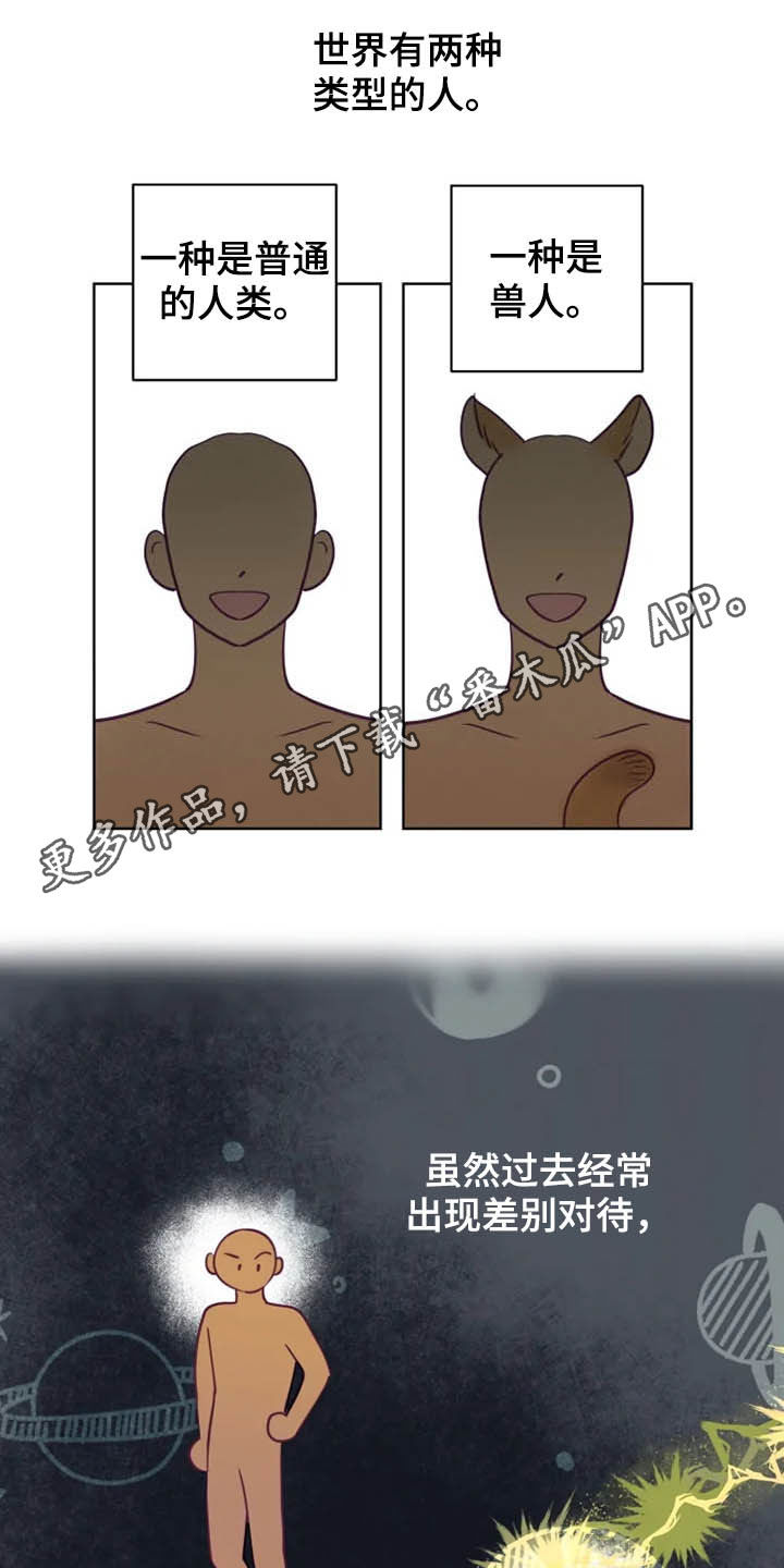 龟兔赛跑告诉我们什么道理漫画,第18章：特别大使1图