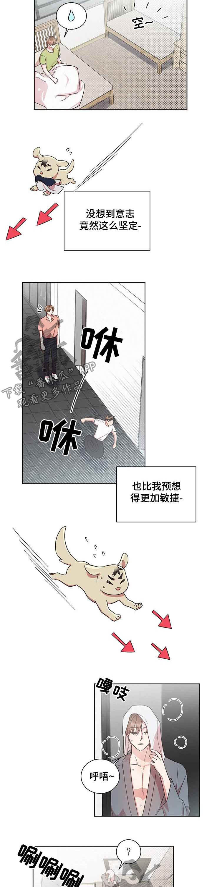 好先生指的是什么漫画,第33章：追着他跑3图
