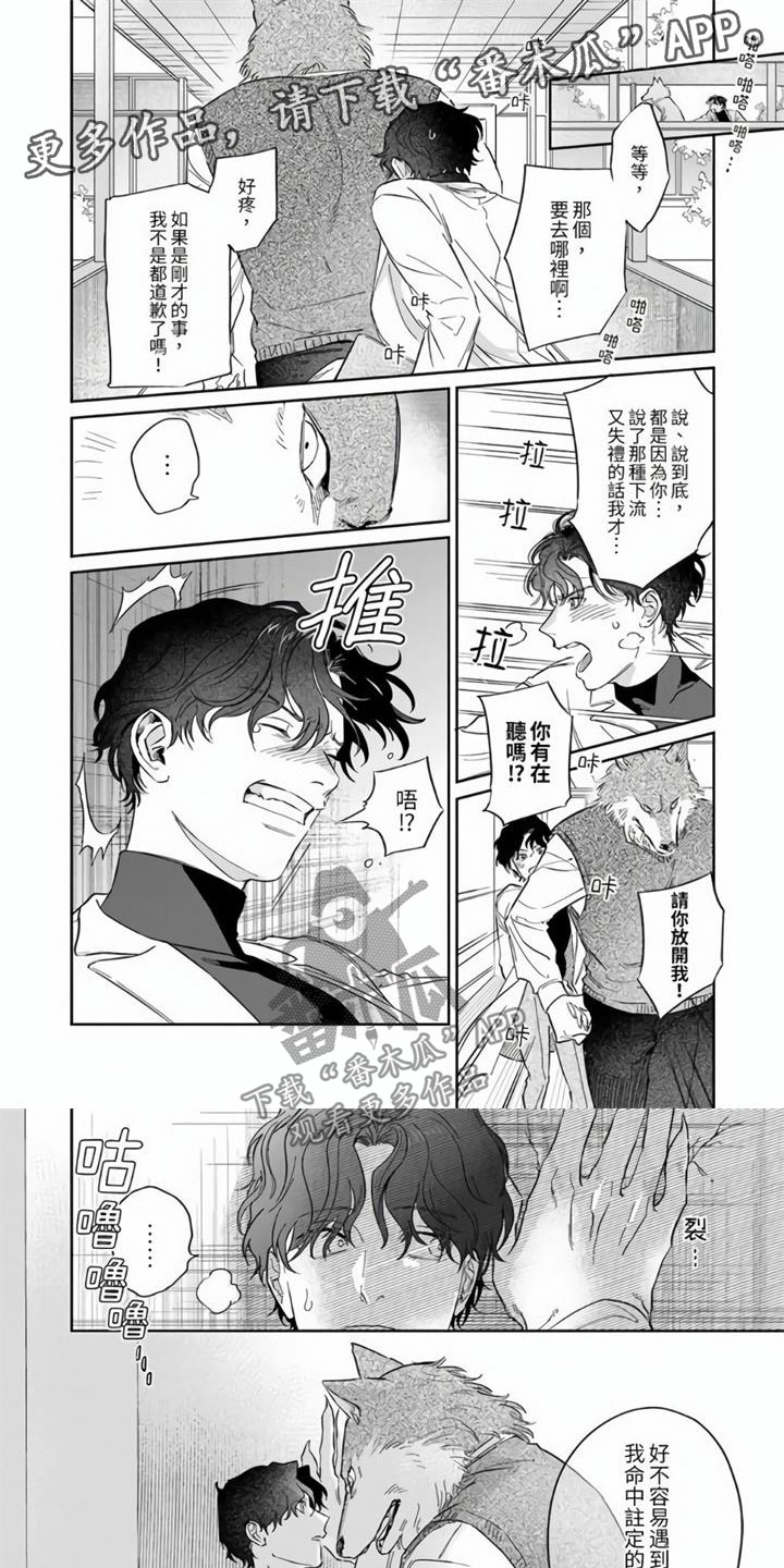 第4章：命中注定0