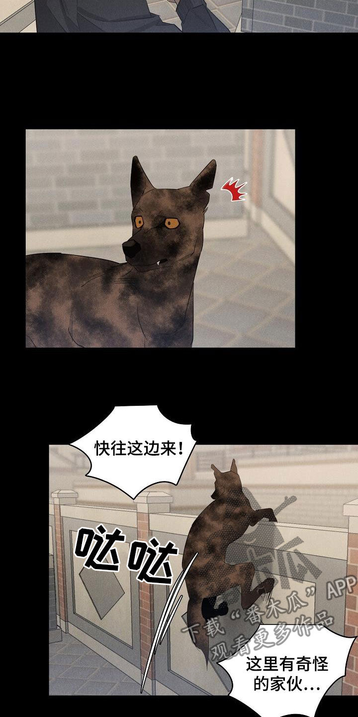 第16章：带走1