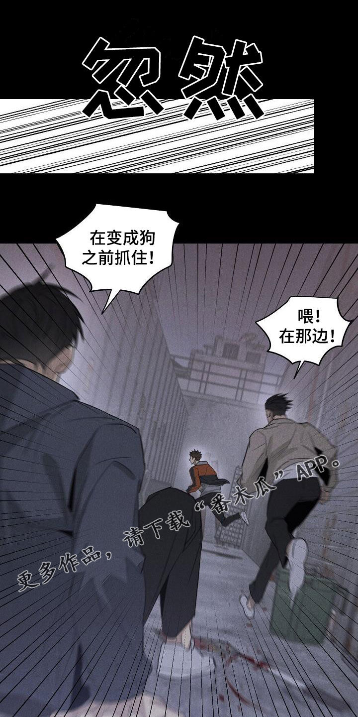第17章：相片0