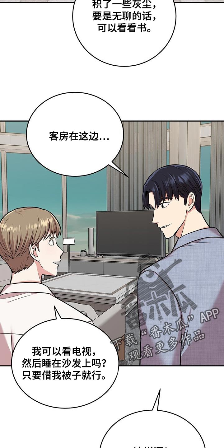 第38章：逗猫4