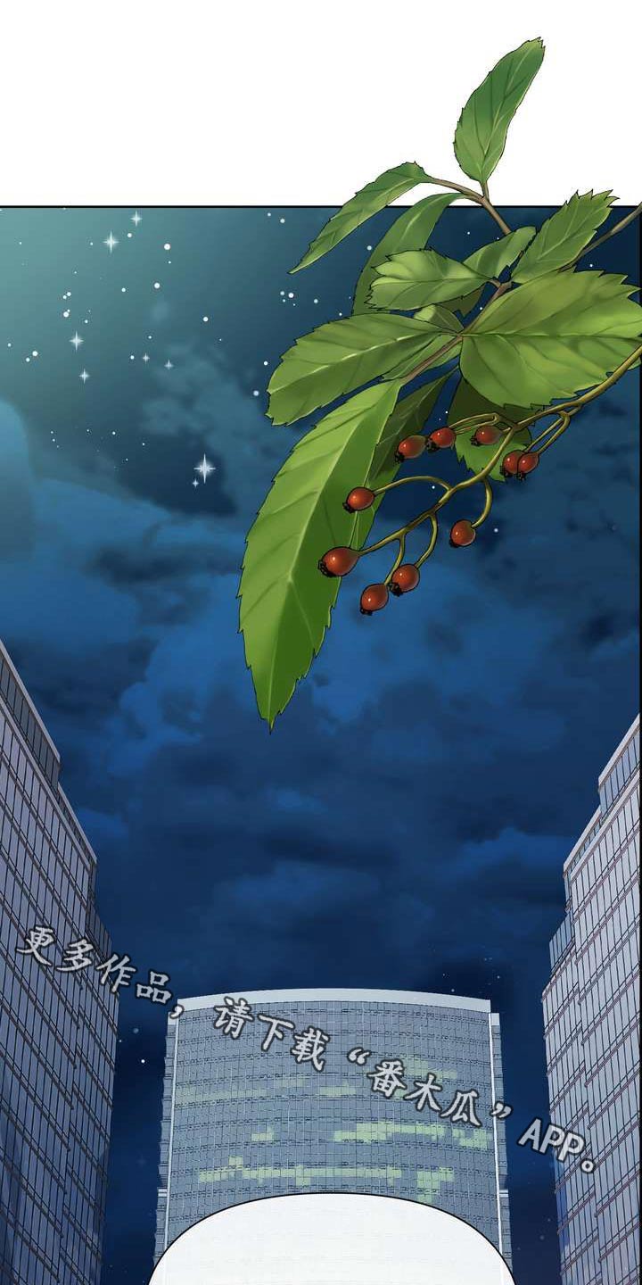 女性欧美风漫画,第112章：含义1图