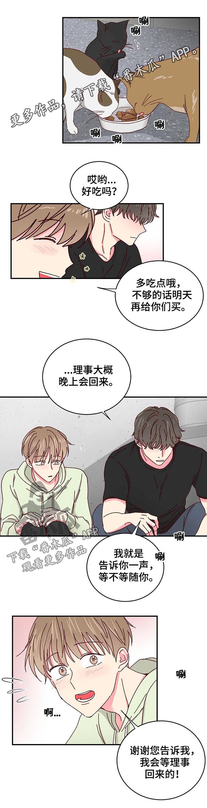 奶油蛋糕冷藏可以放多久漫画,第41章：做您喜欢的事情1图