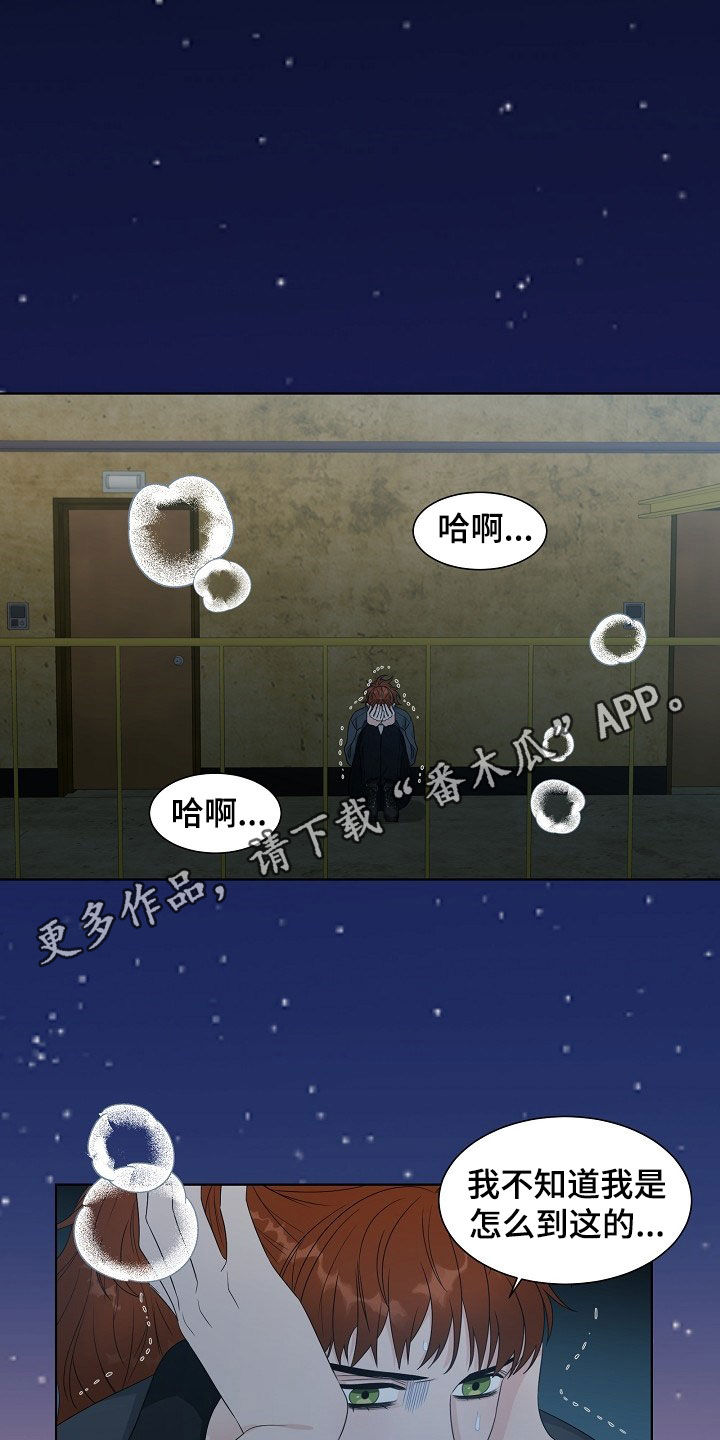 傲娇小狗漫画,第17章：捕食1图