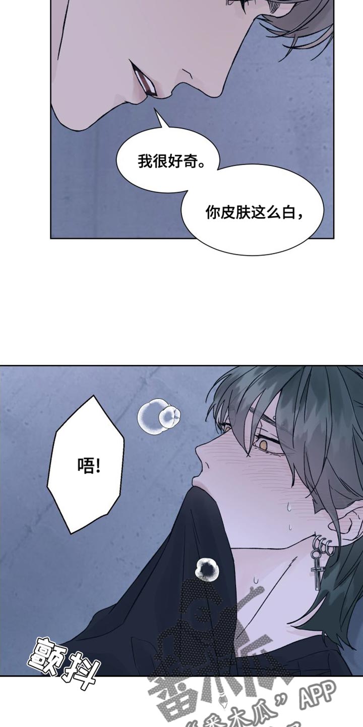 第13章：偏执4