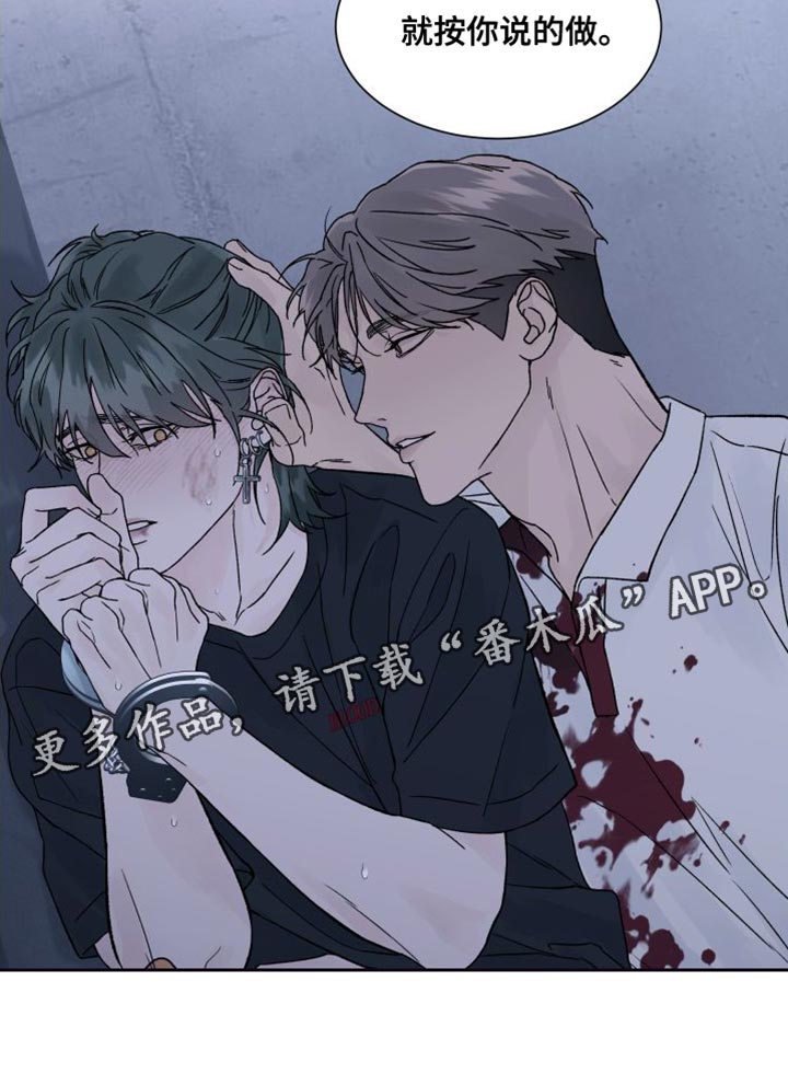 第13章：偏执0