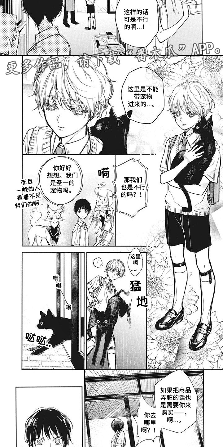 第21章：巧遇2