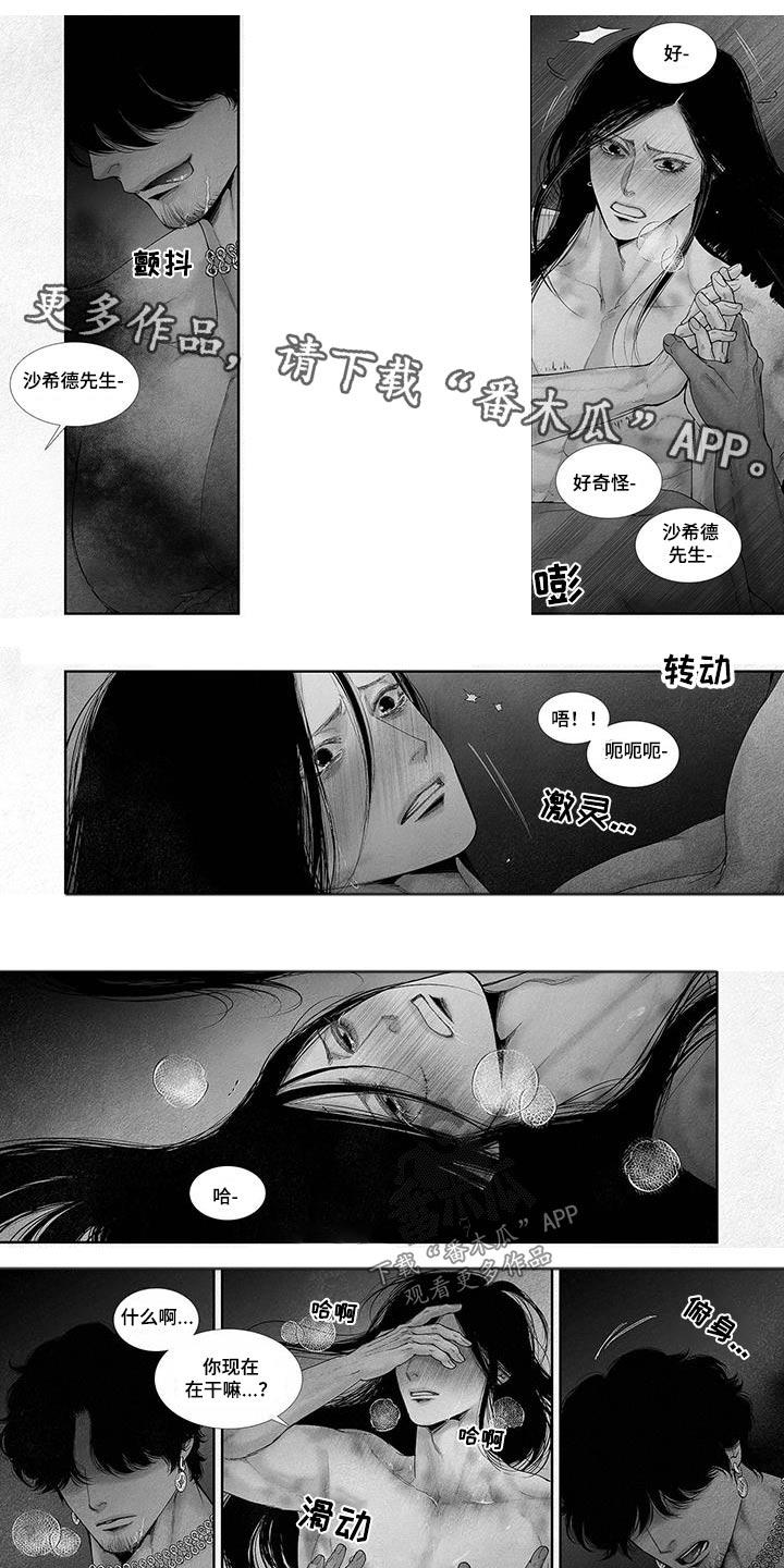 第100章：4年前0