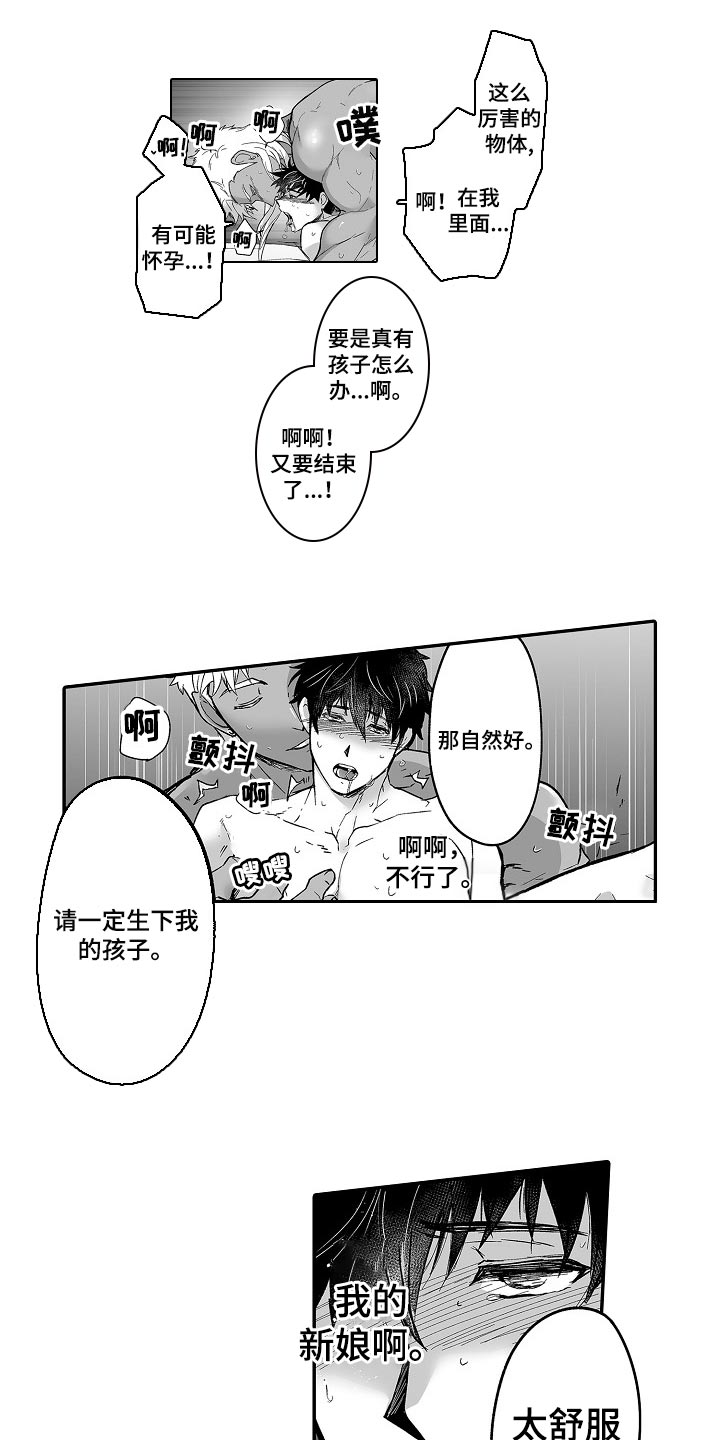 第53章：婚姻的危机0