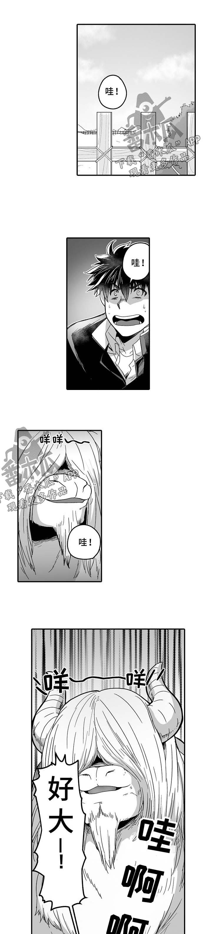 巨型新娘包漫画,第33章：莫姆1图