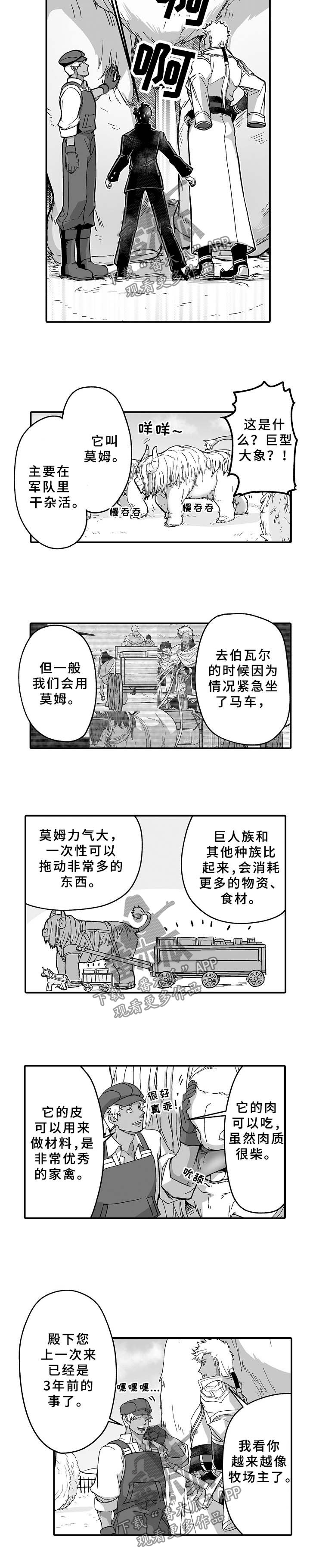 巨型新娘包漫画,第33章：莫姆2图