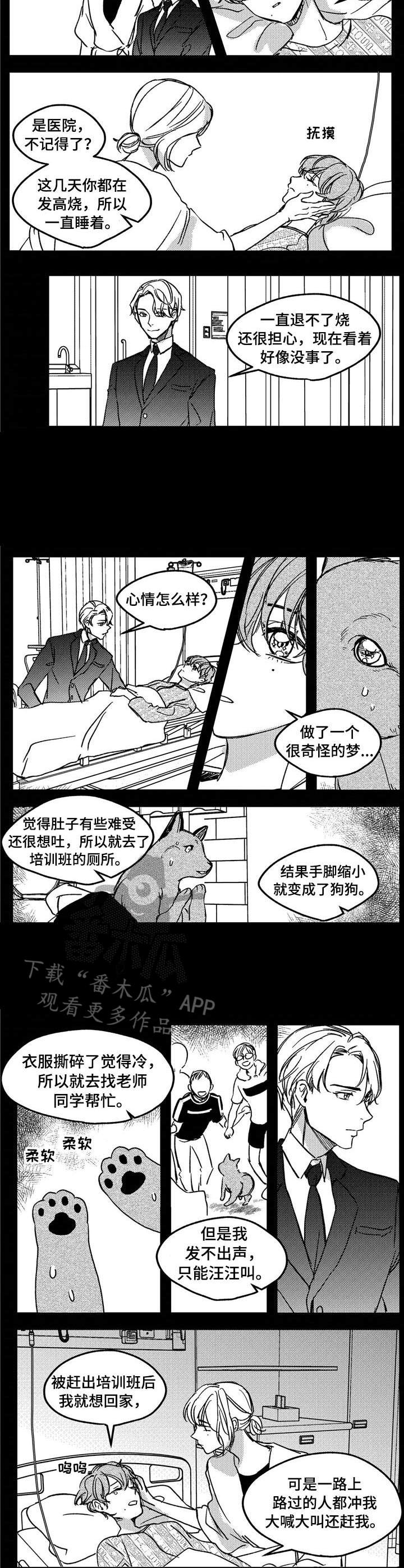 第11章：不是失误4