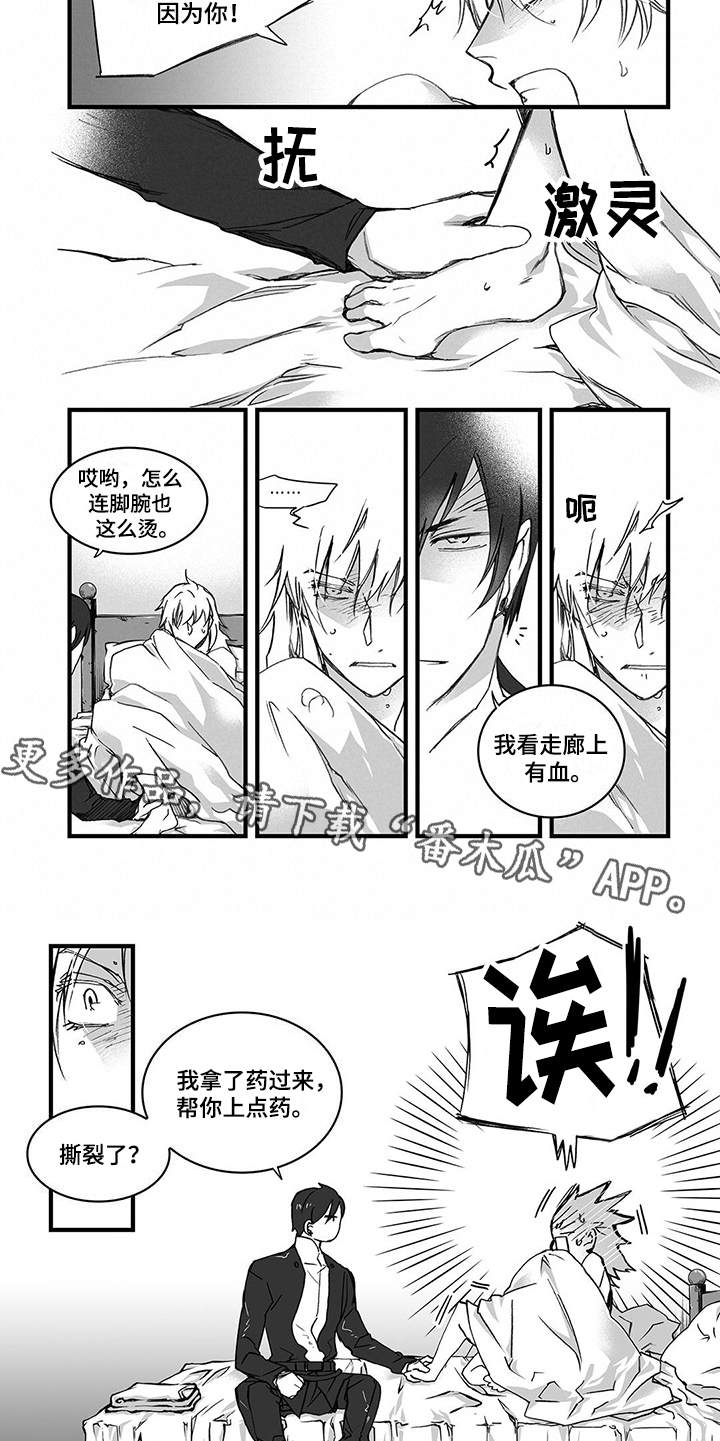 落魄王子动漫漫画,第11章：上药5图