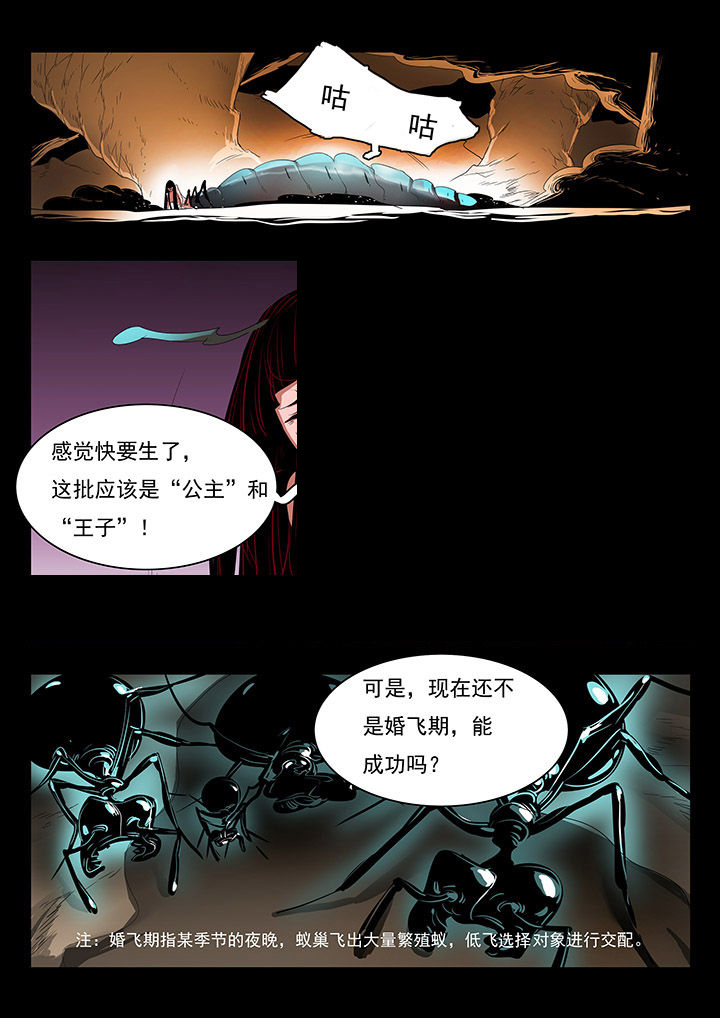 第28章：1