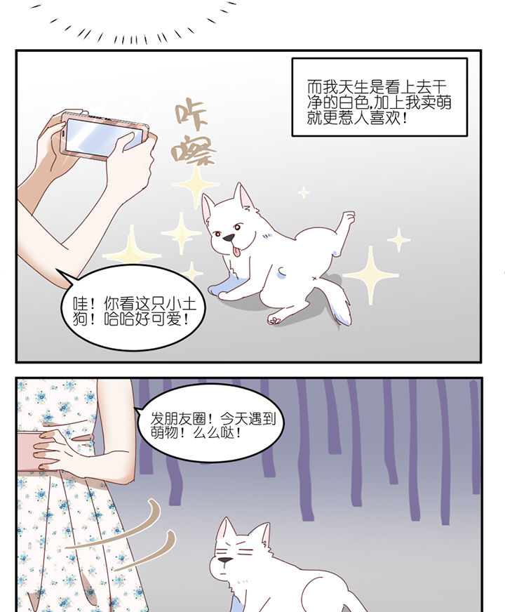 孟婆的甜点漫画,第59章：我讨厌狗2图
