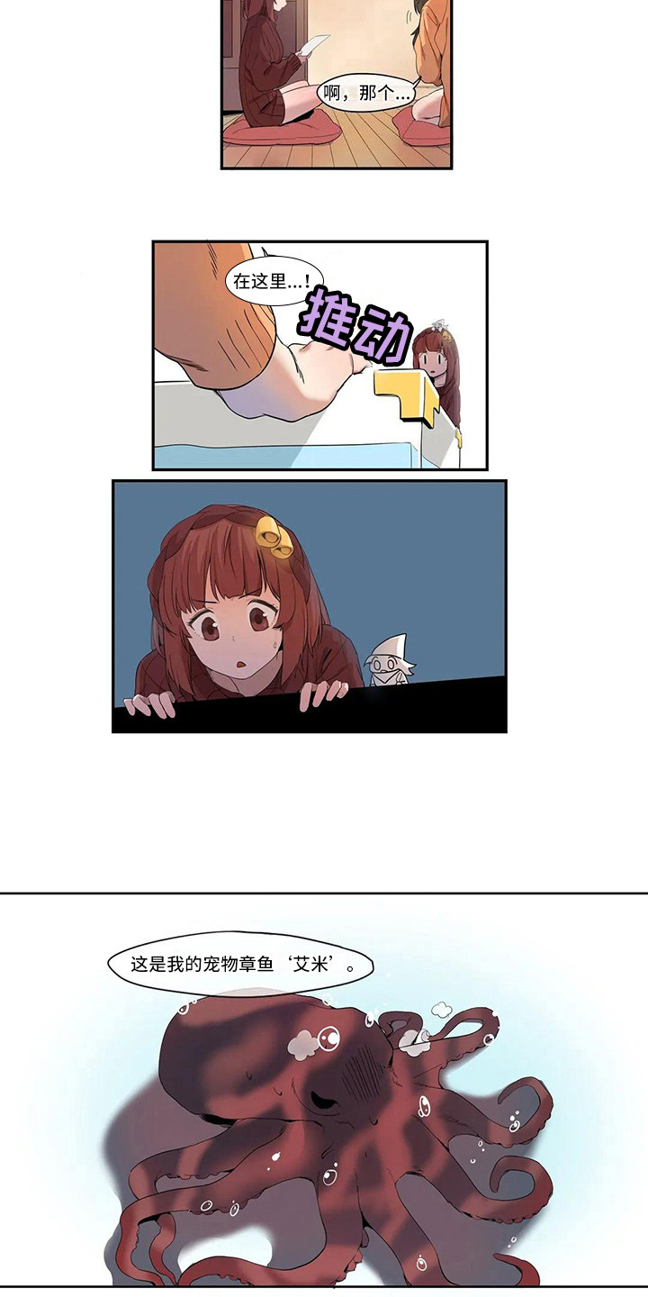第3章：宠物1