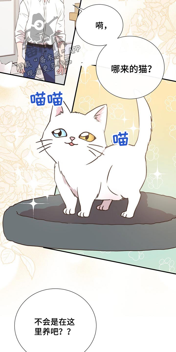 第51章：回国4