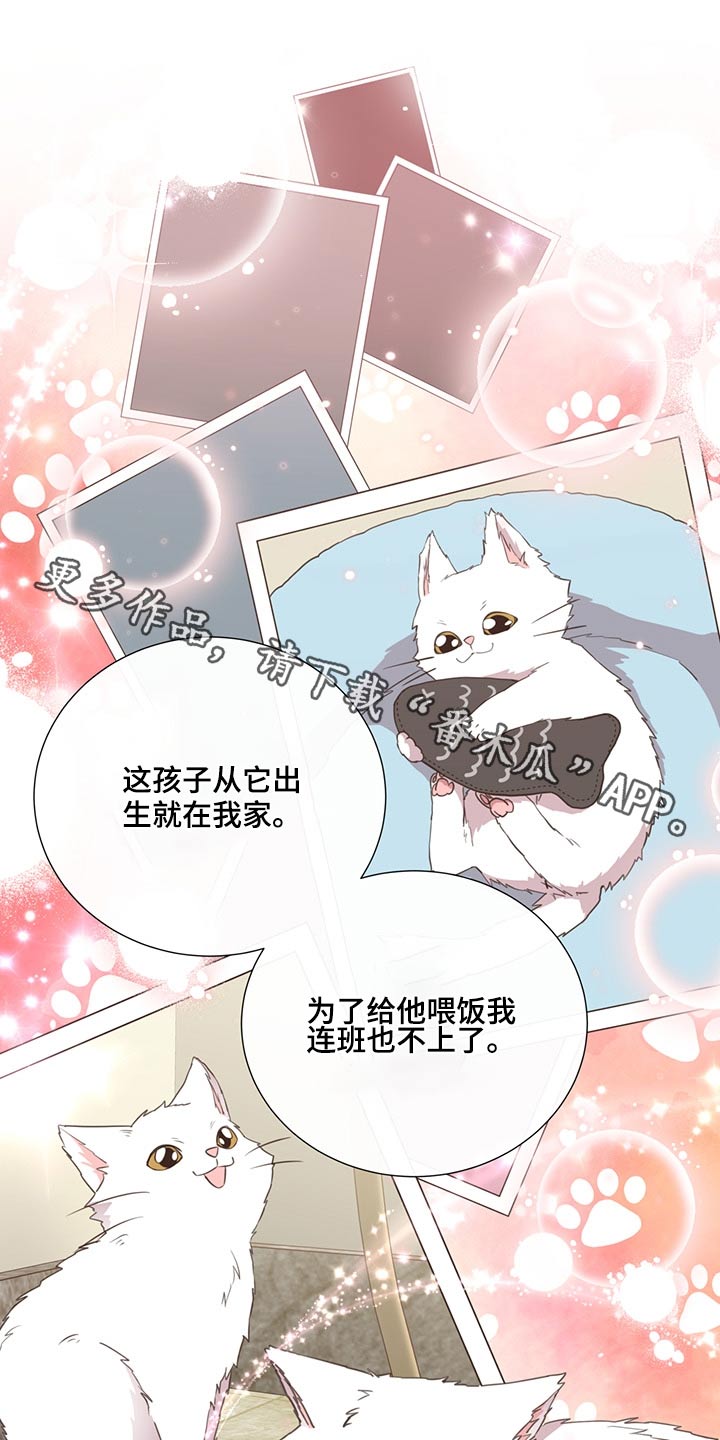 第62章：不是我的问题0