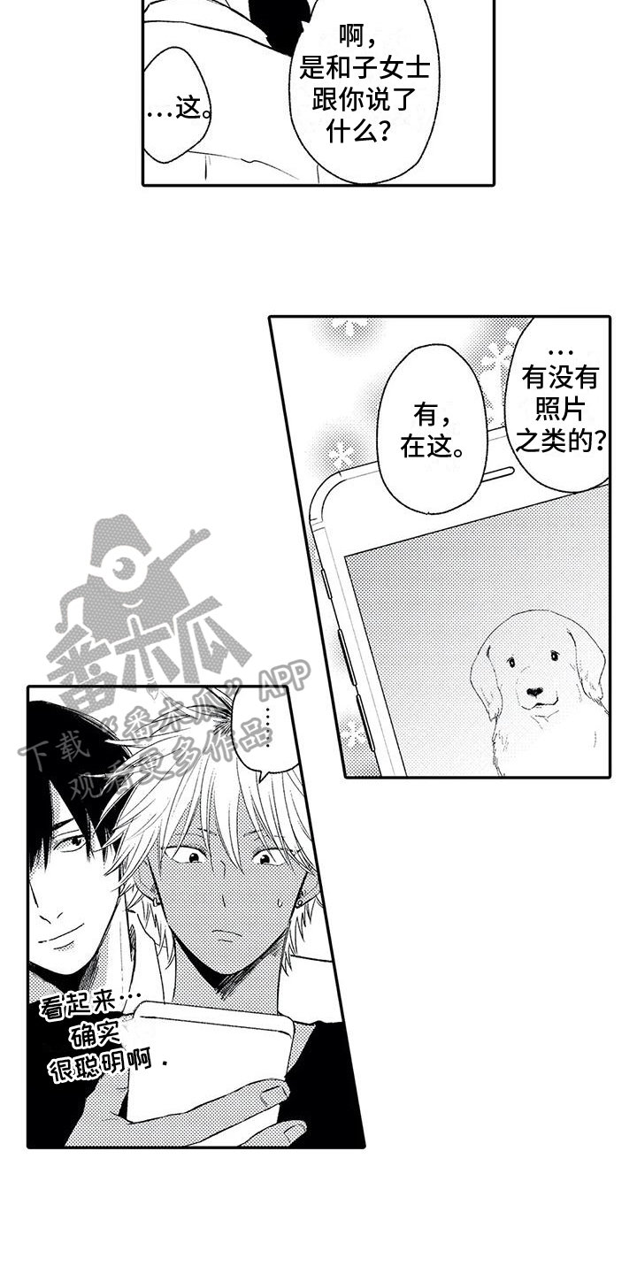 可爱的傻瓜视频大全漫画,第9章：照片2图