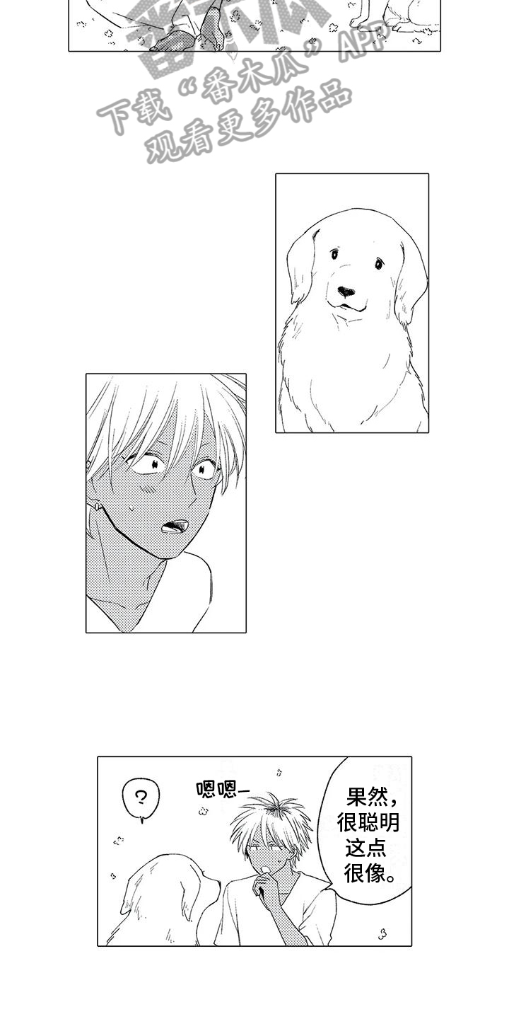 可爱的商贩漫画,第13章：后悔5图