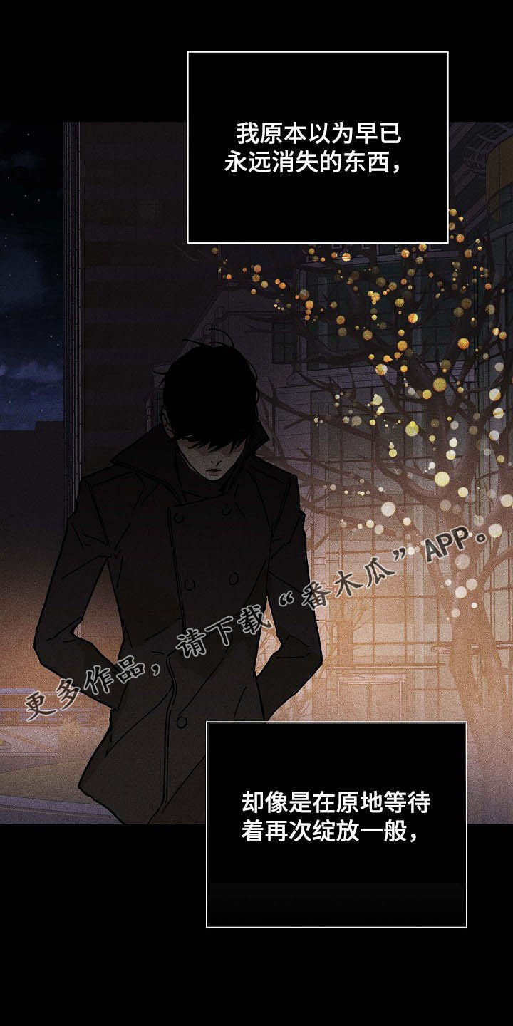 与男人结婚漫画,第51章：表白心意1图