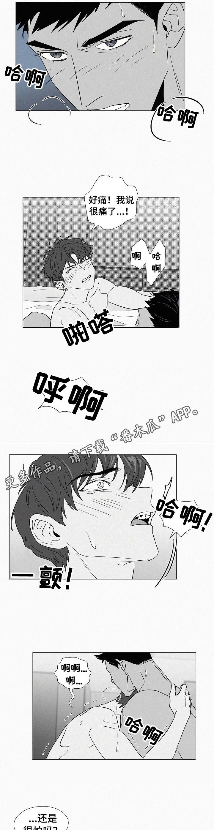第38章：哭了3