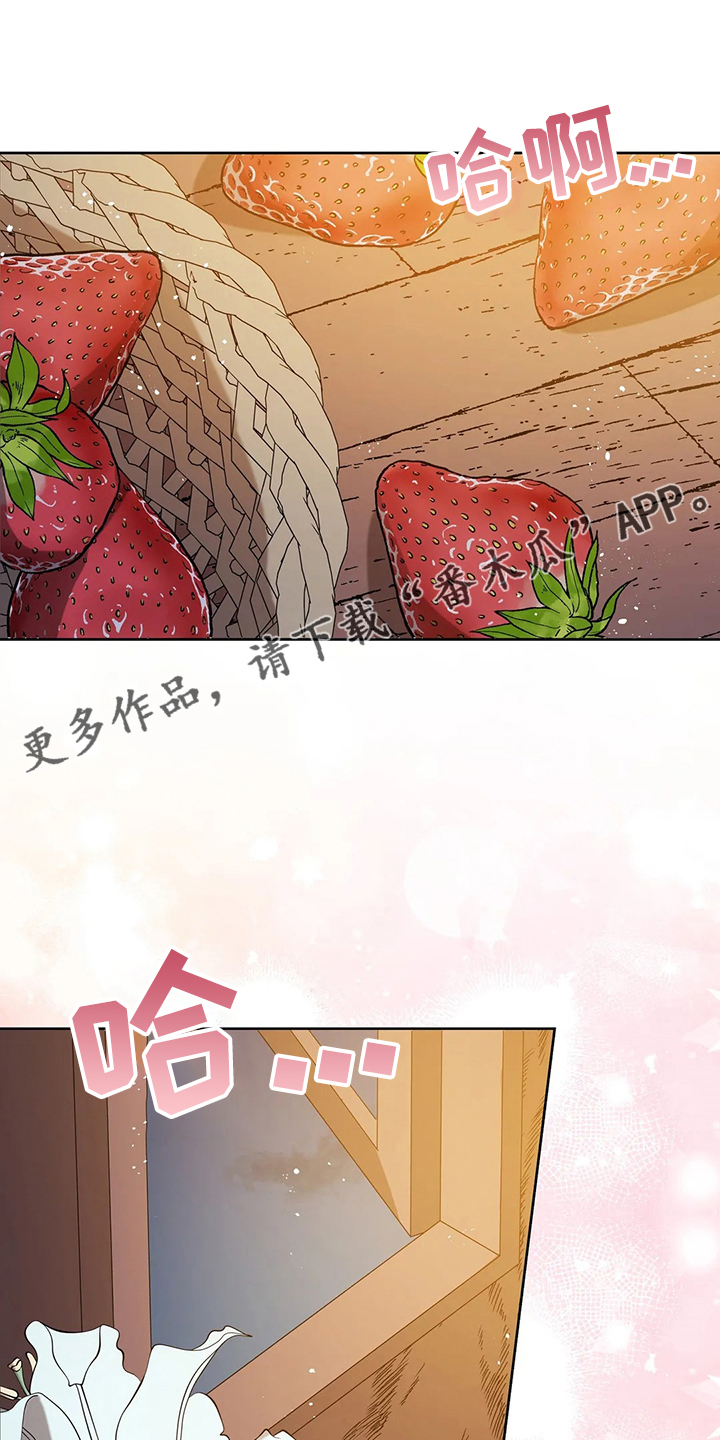 黄昏的视频漫画,第40章：精灵界碎片1图