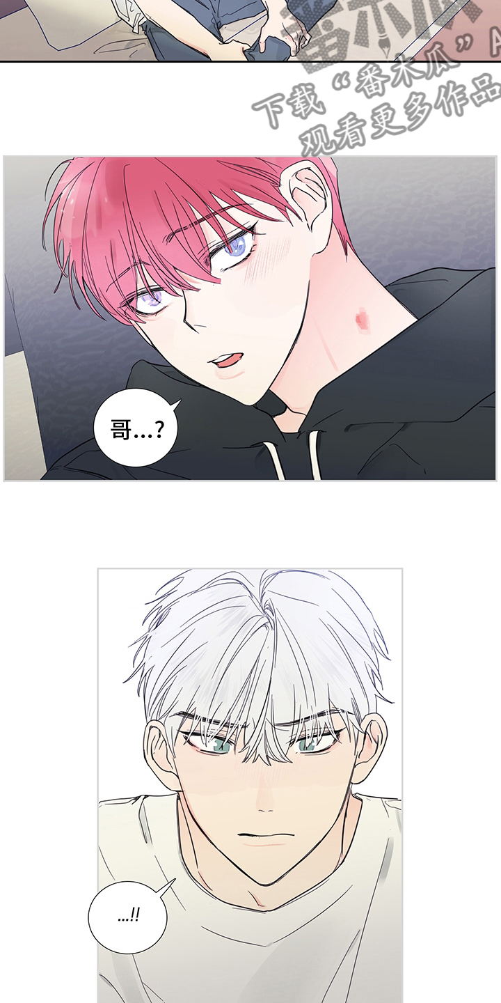 偶像选拔漫画,第87章：【第二季】喜欢是什么4图