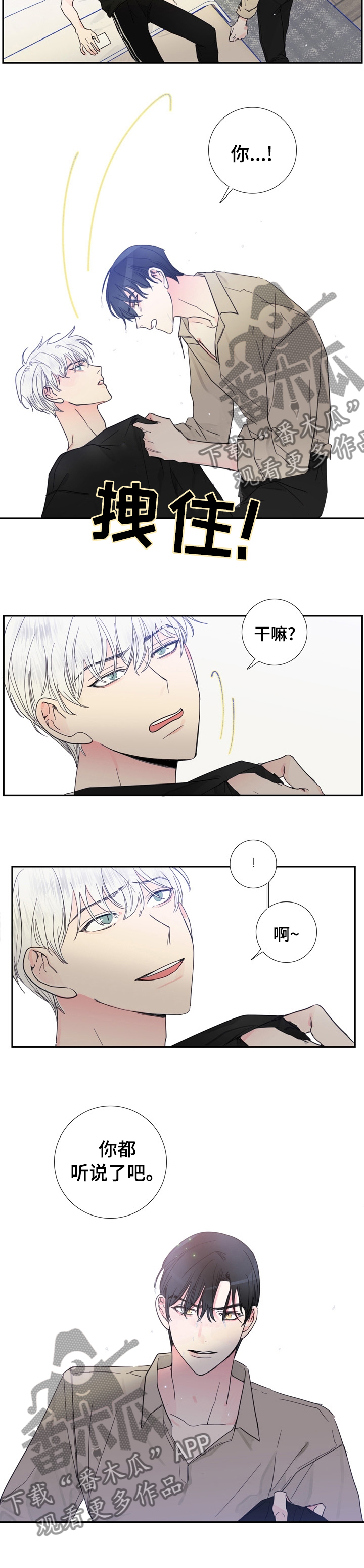 芭芭拉邀约偶像漫画,第33章：你都听说了吧5图