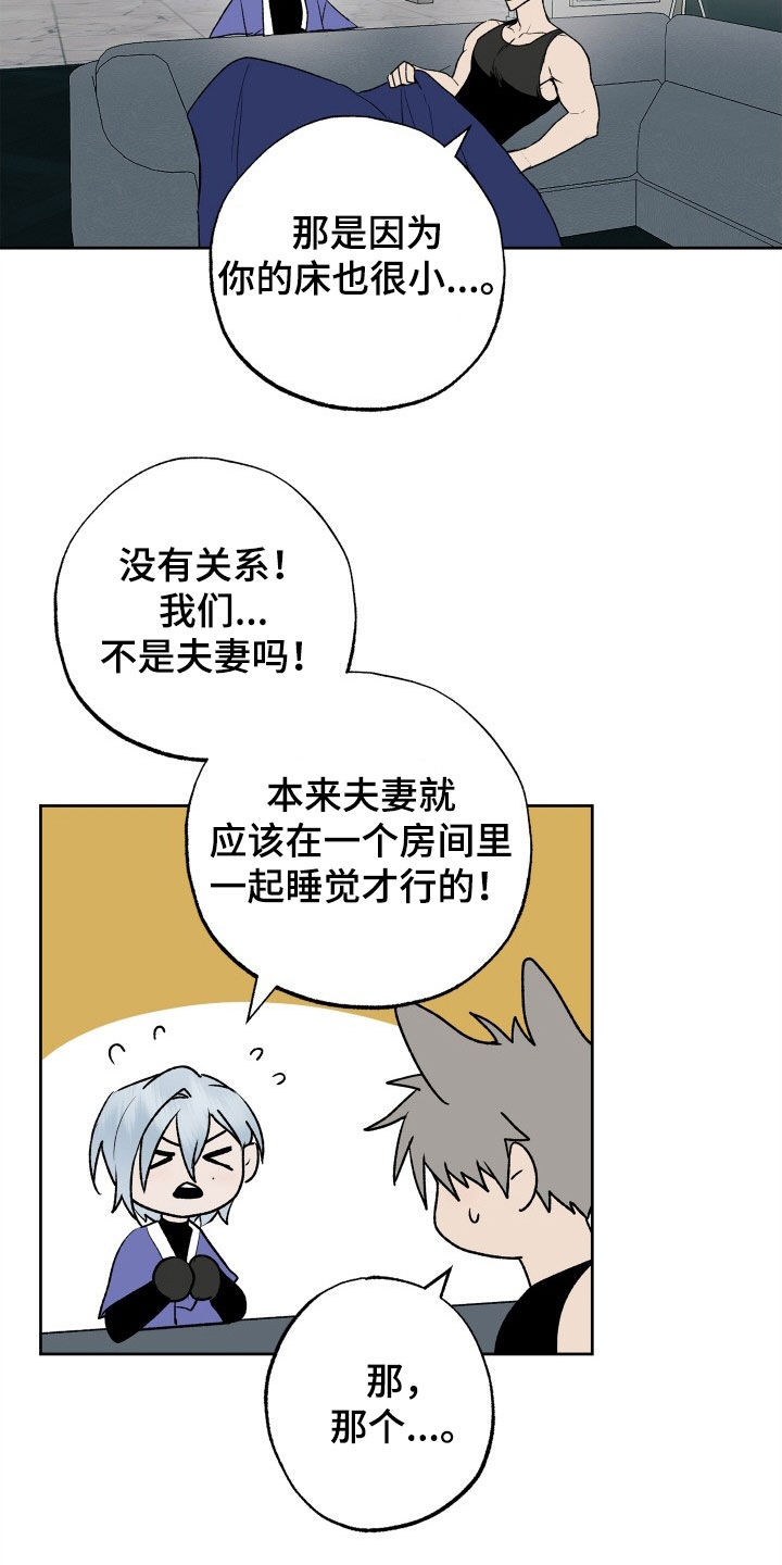 第35章：义务2