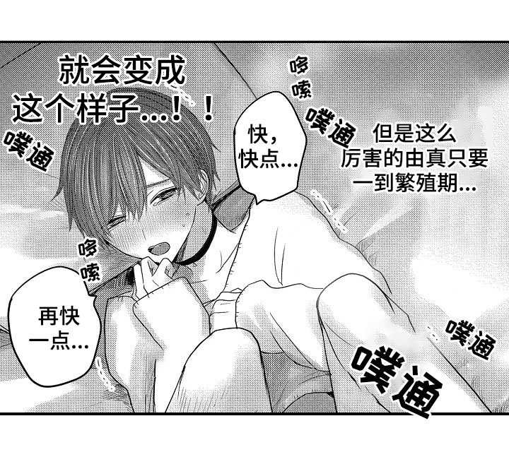 第47章：番外4