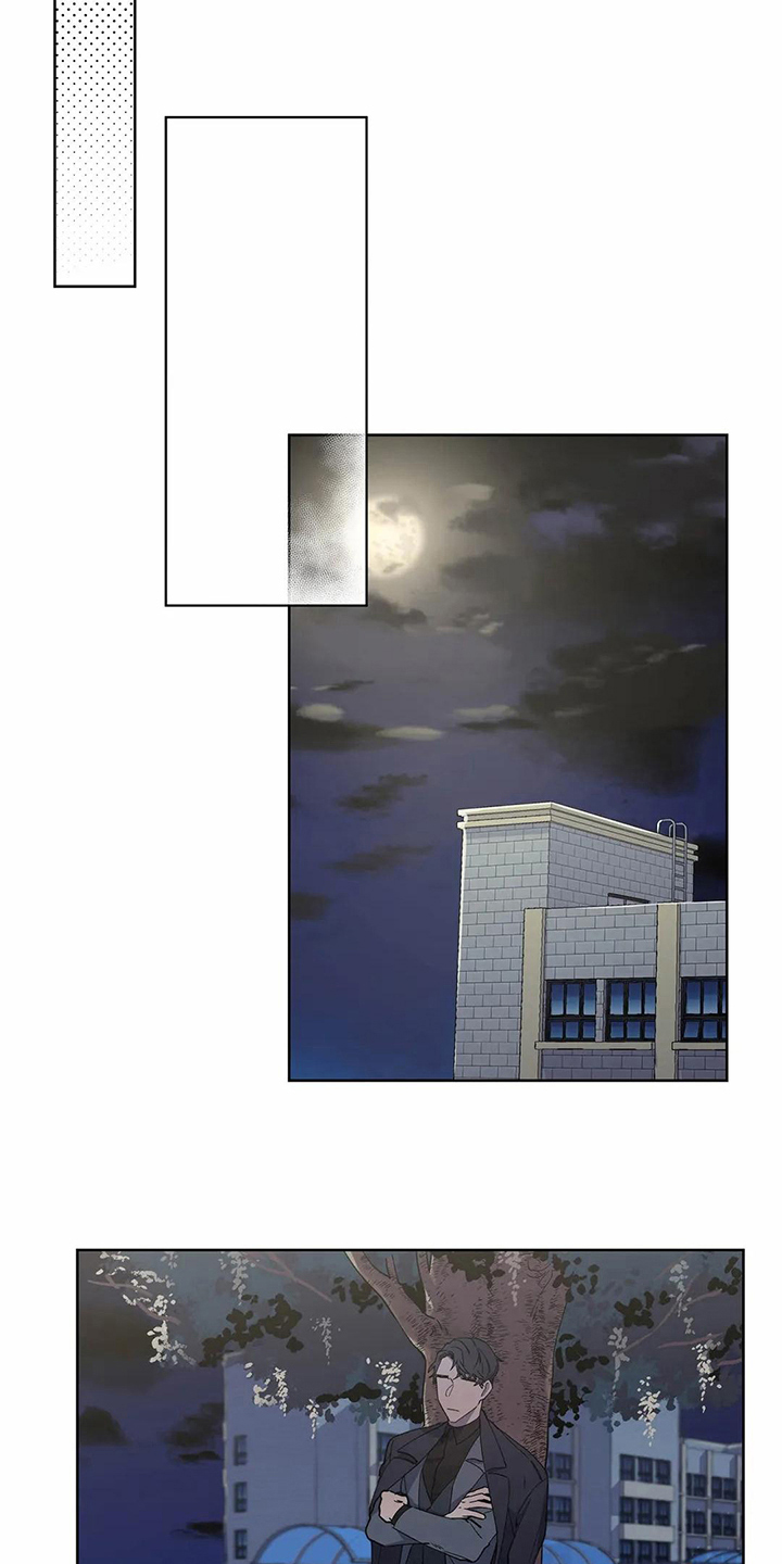 恋爱军师之间的斗争漫画,第23章：表白4图