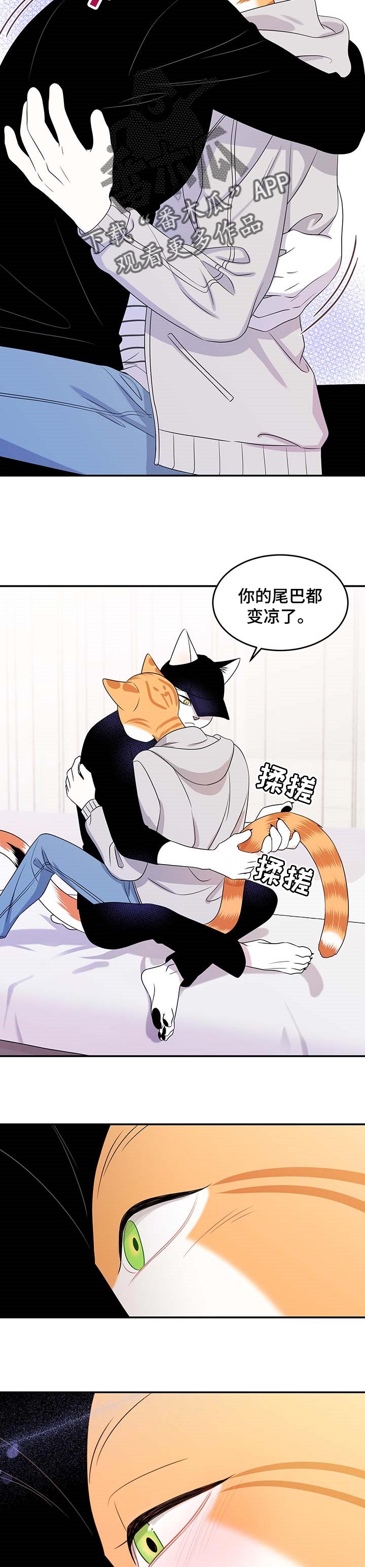 第21章：安心1