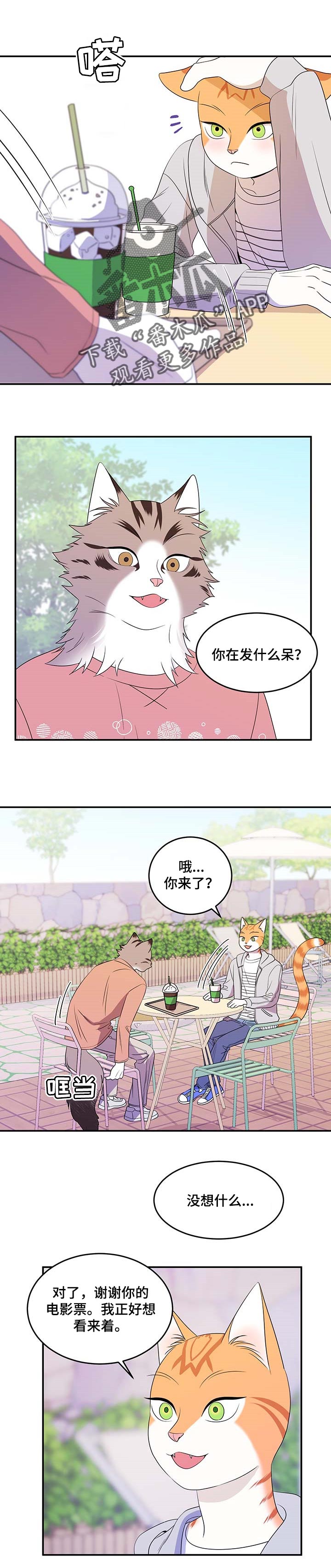 第18章：芳香剂0