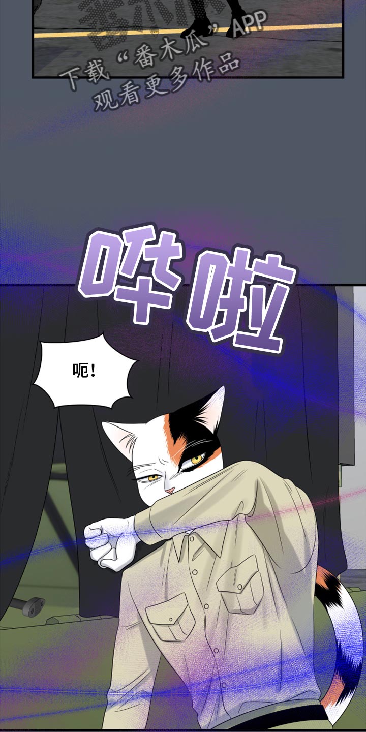 第81章：【第二季】中弹1