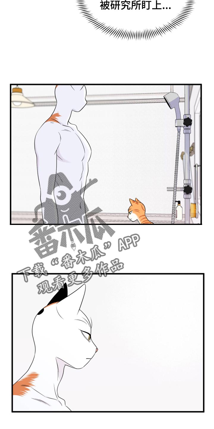 第71章：【第二季】撒娇4