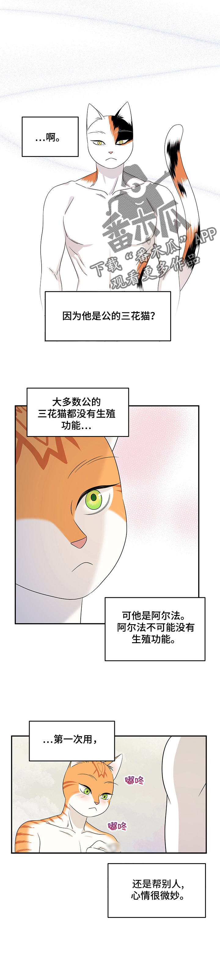 第13章：教我2