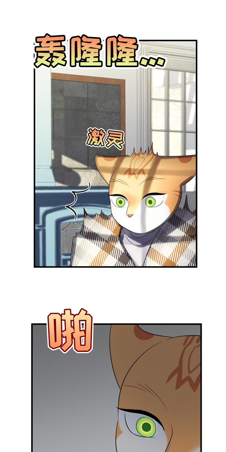 第109章：【第二季】我要回岛上3