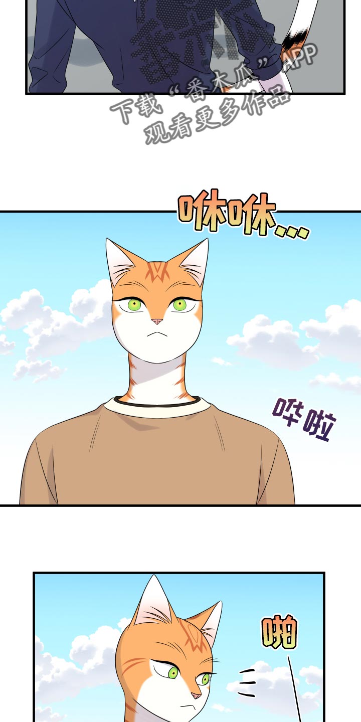 第96章：【第二季】海浪声好吵3