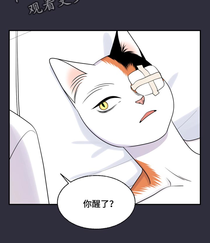 第52章：我的人生我做主（第一季完结）2