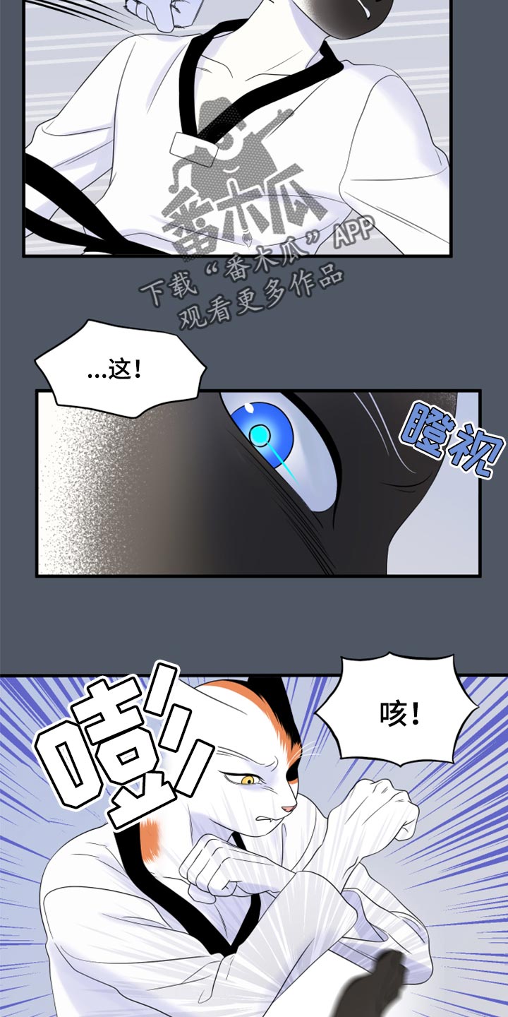 第76章：【第二季】有什么特别3