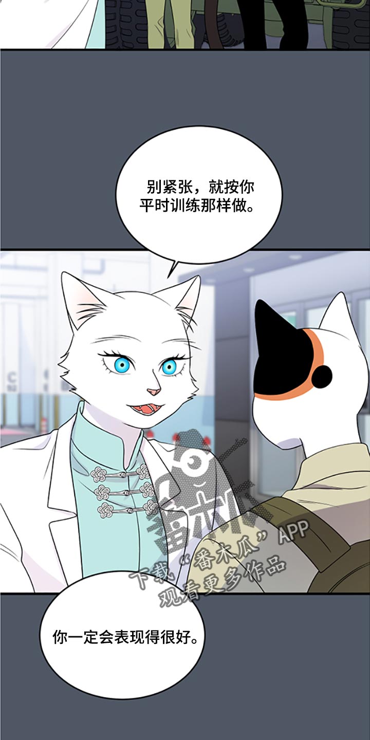 第79章：【第二季】傻瓜2