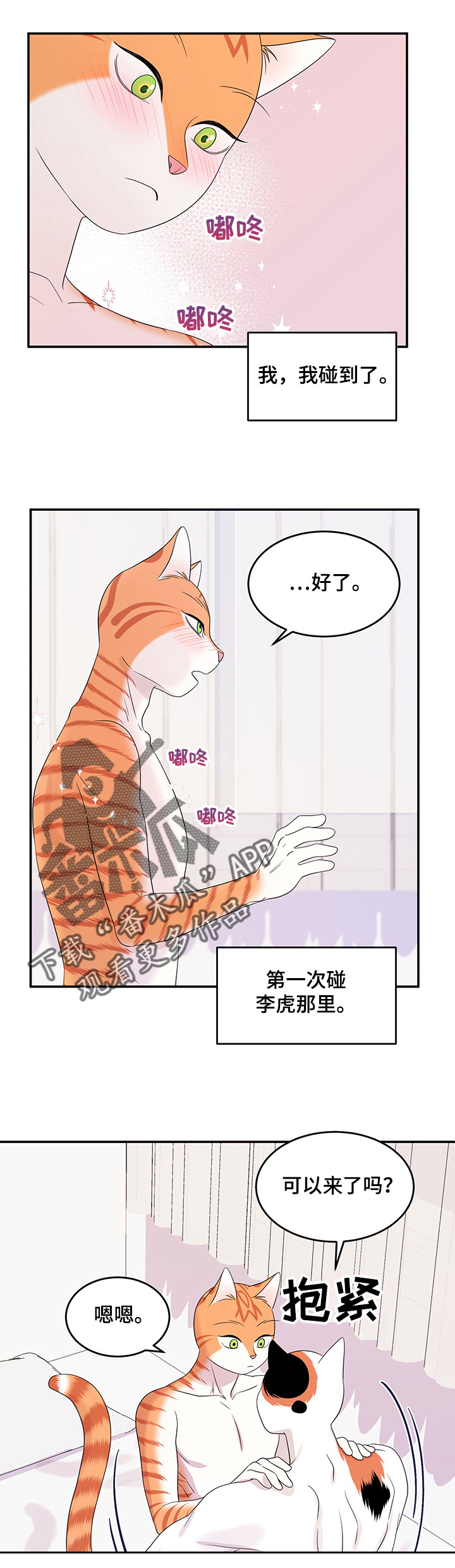 第13章：教我3