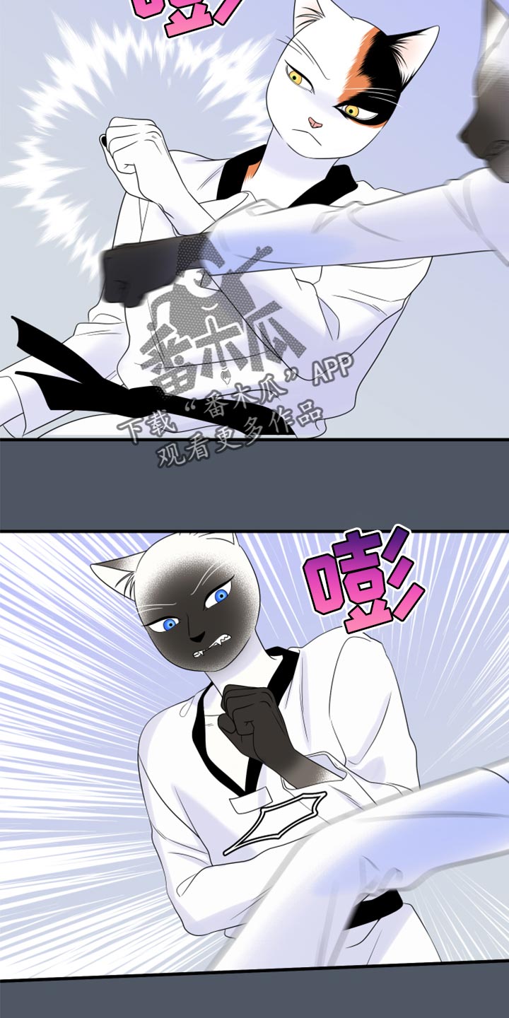 第76章：【第二季】有什么特别1