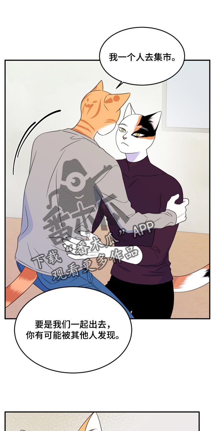 第55章：【第二季】你再坚持一下0